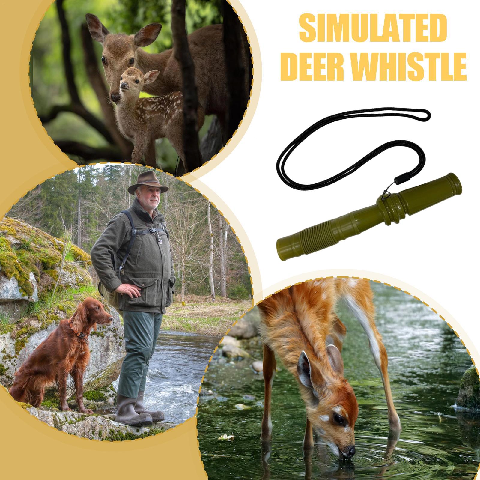 Rattling Antlers For Deer Hunt - Outdoor Hunting Youtube review and price
