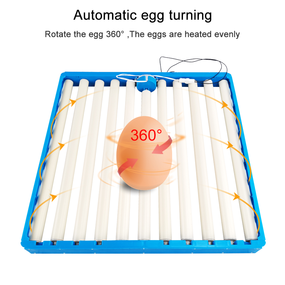 70 Eggs Incubator Automatic 36 - Hunting Quail review and price